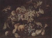 unknow artist Still life of red and white grapes,peaches and plums,on a stone ledge Germany oil painting artist